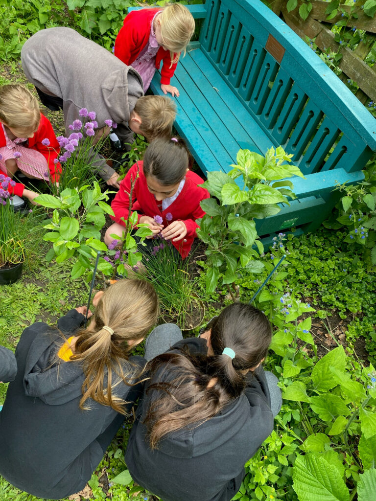 Planting by children