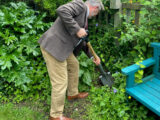 Planting of Discoverers Apple Tree by Head Teacher)