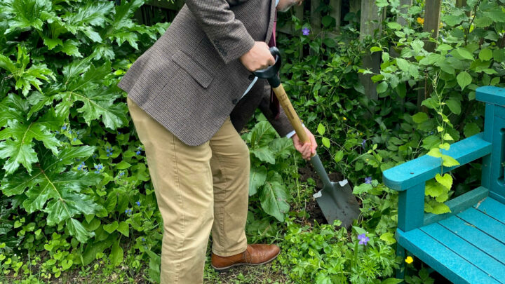 Planting of Discoverers Apple Tree by Head Teacher)